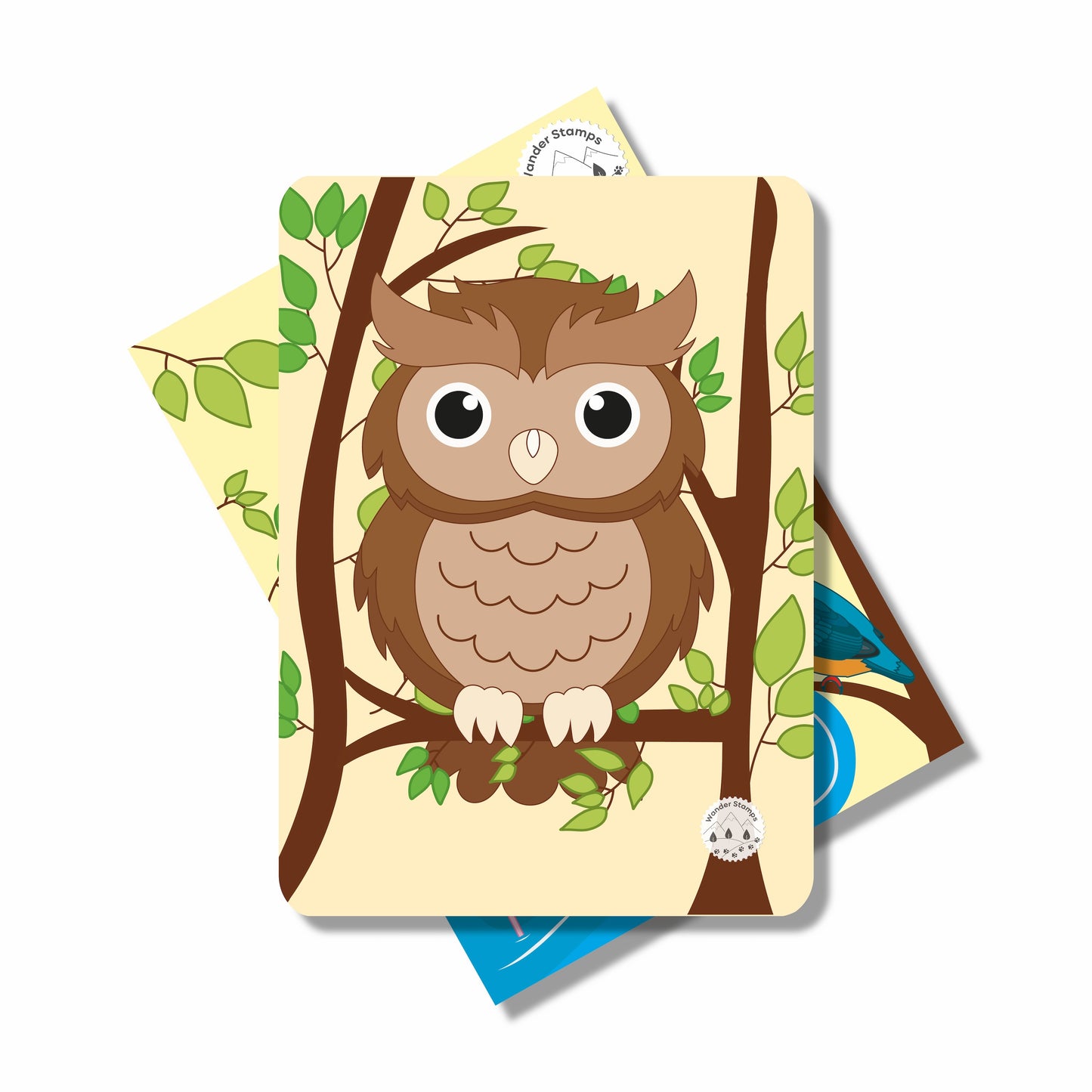 A to Z: Birds of the World Flashcards