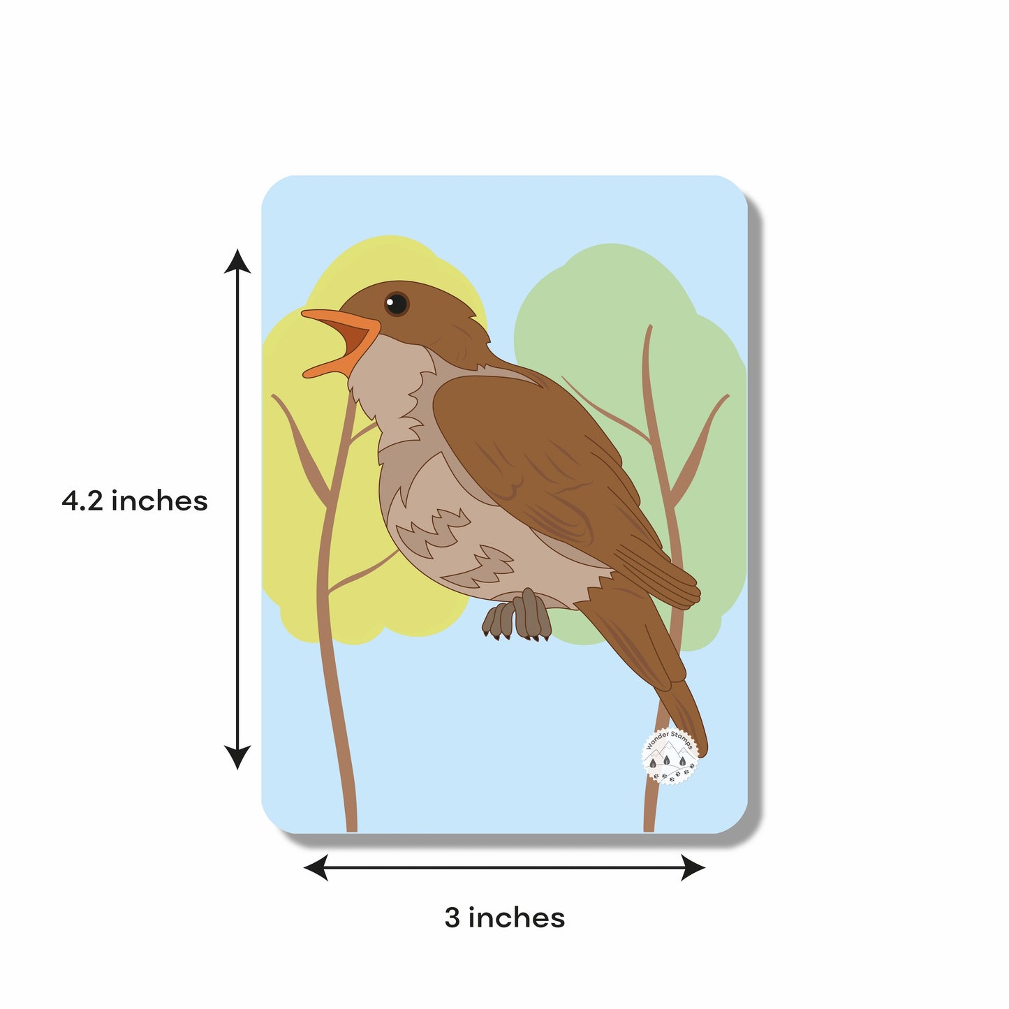 A to Z: Birds of the World Flashcards
