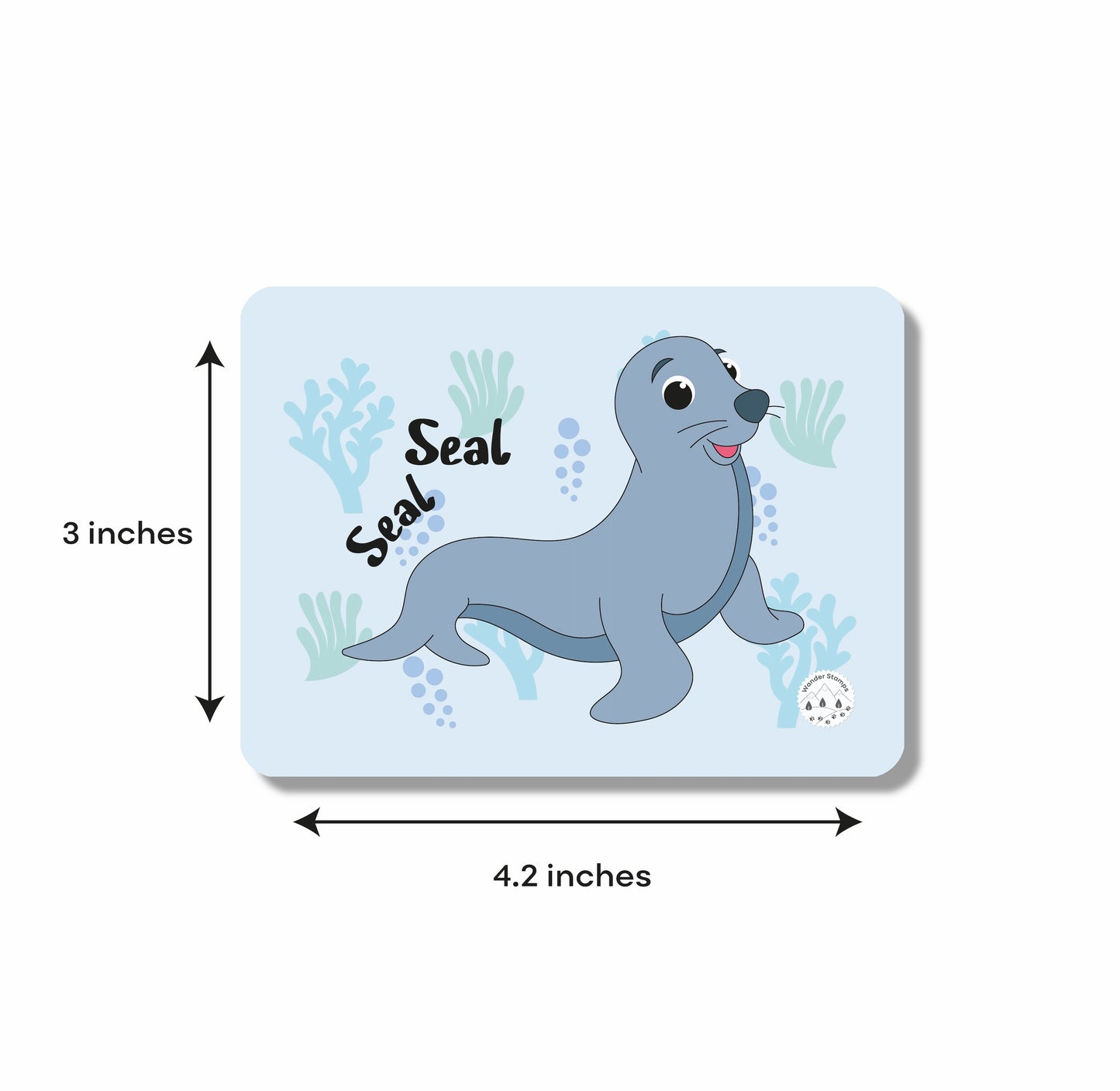 Know Your Marine Life Flashcards