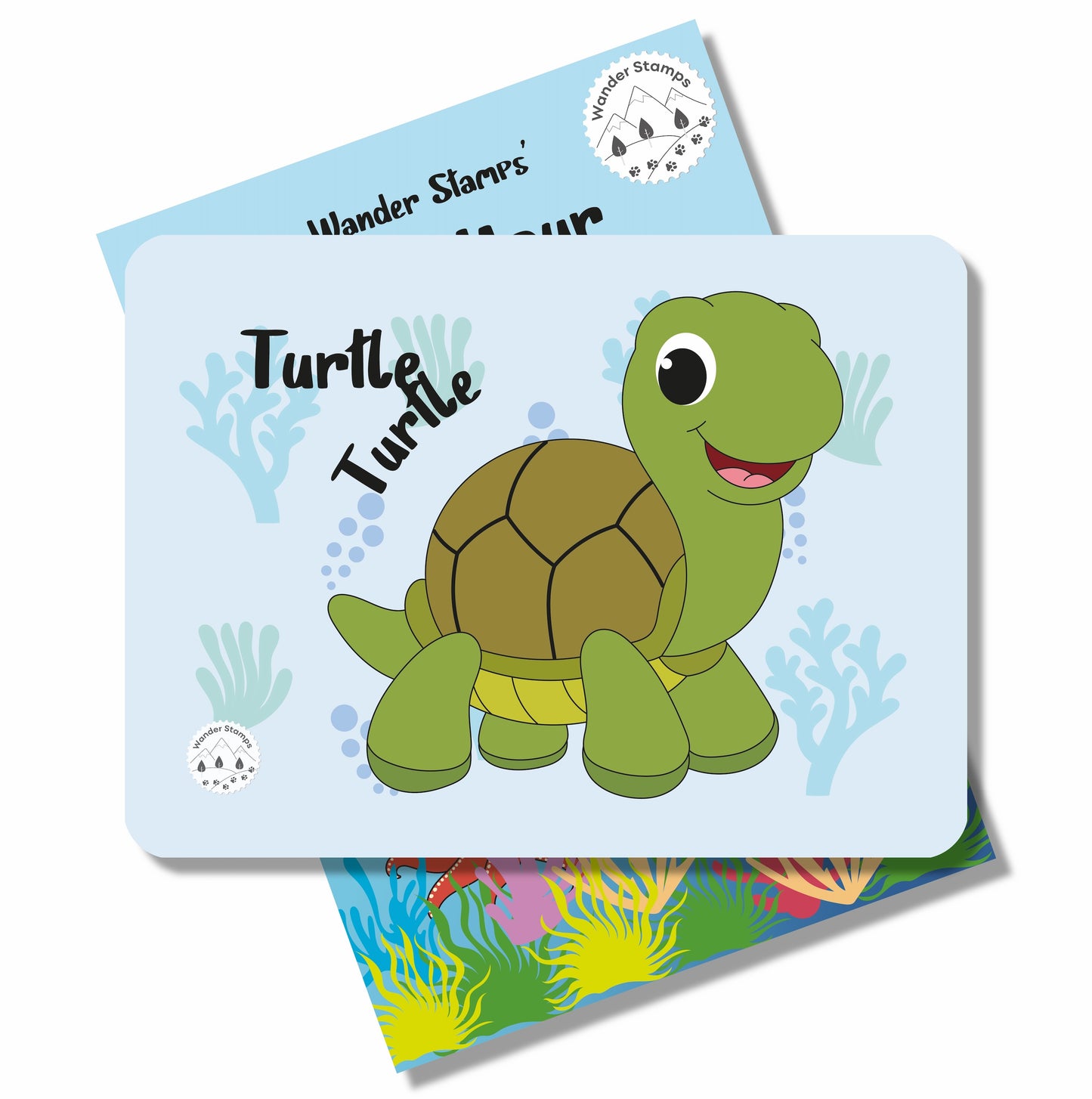 Know Your Marine Life Flashcards