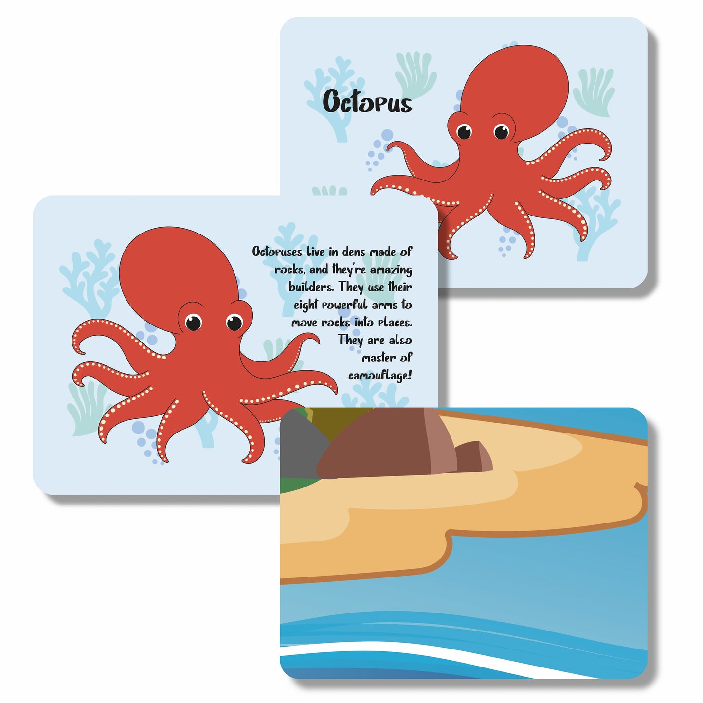 Know Your Marine Life Flashcards