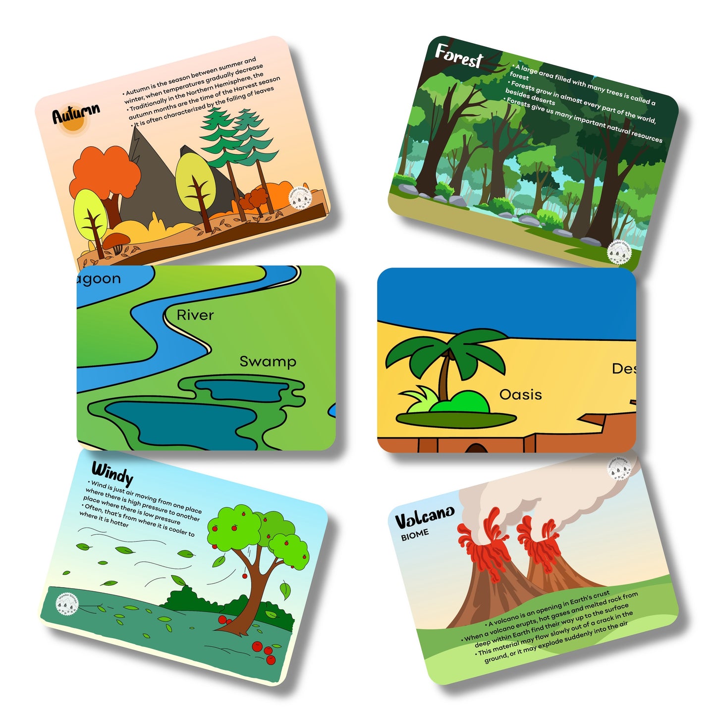 Climate and Habitats Flashcards