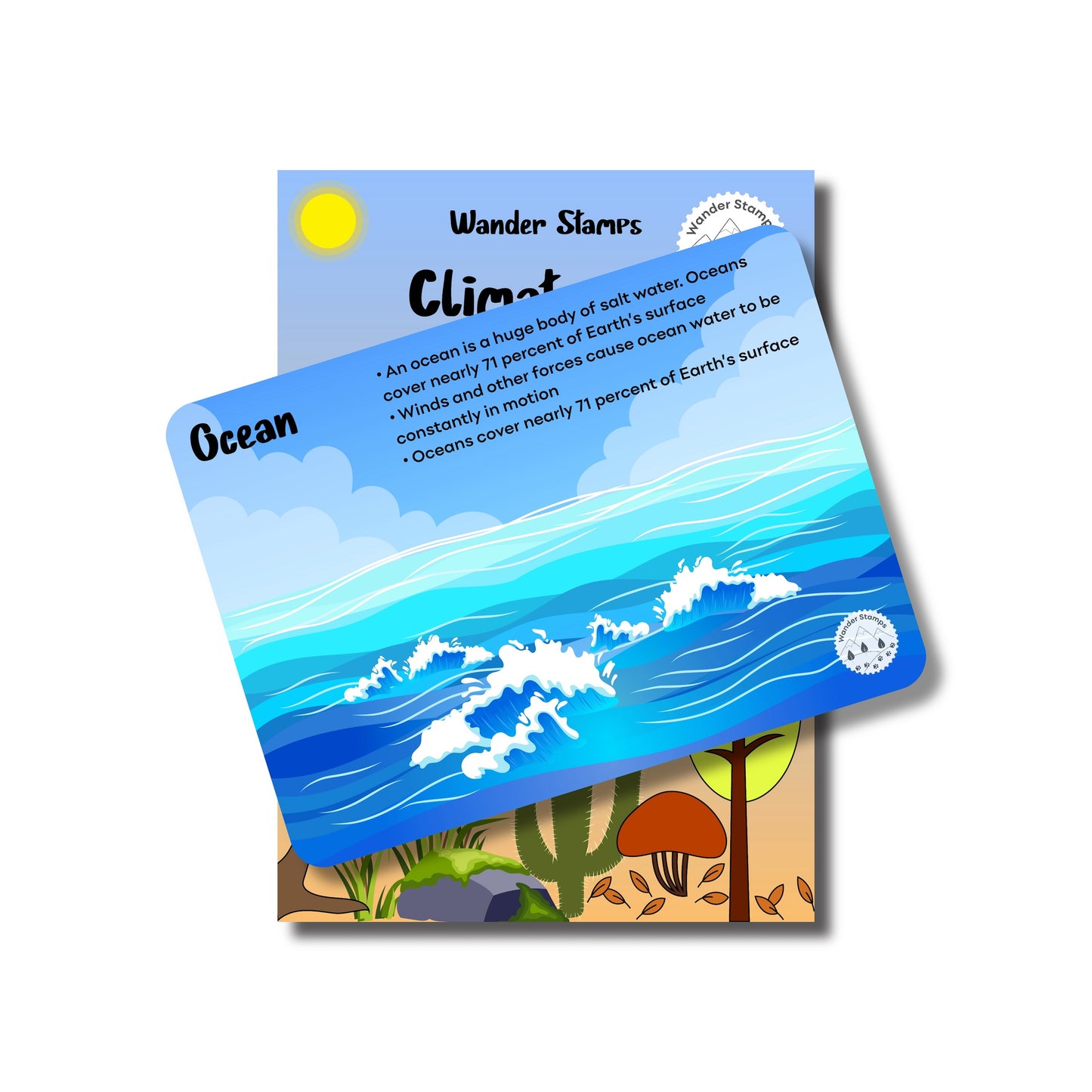 Climate and Habitats Flashcards