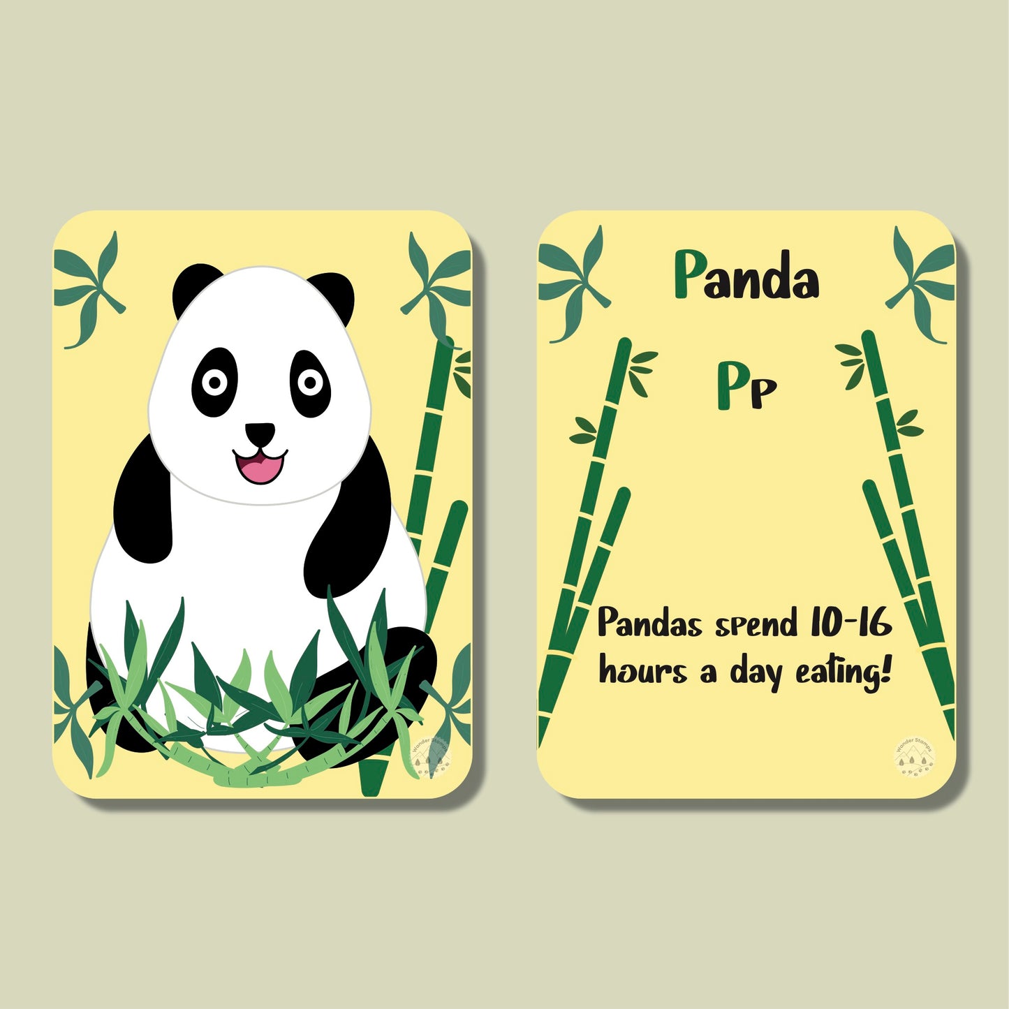 A to Z: Animals of the World Flashcards