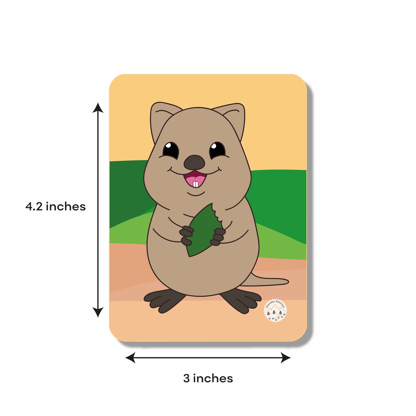 A to Z: Animals of the World Flashcards