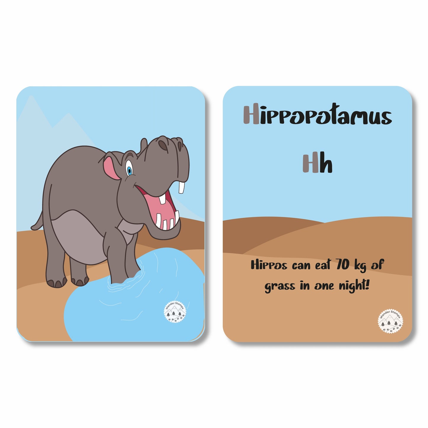 A to Z: Animals of the World Flashcards