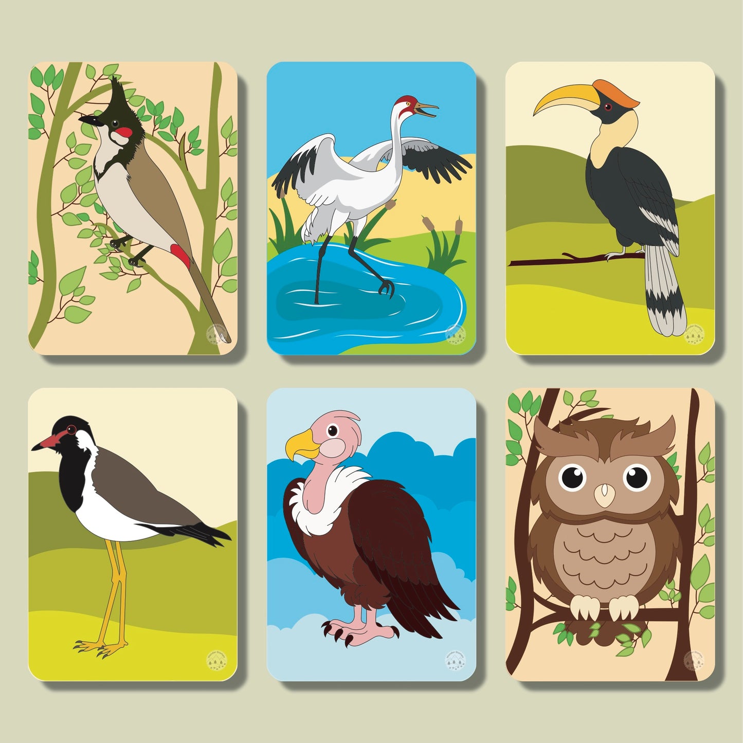 A to Z: Birds of the World Flashcards