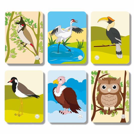 A to Z: Birds of the World Flashcards