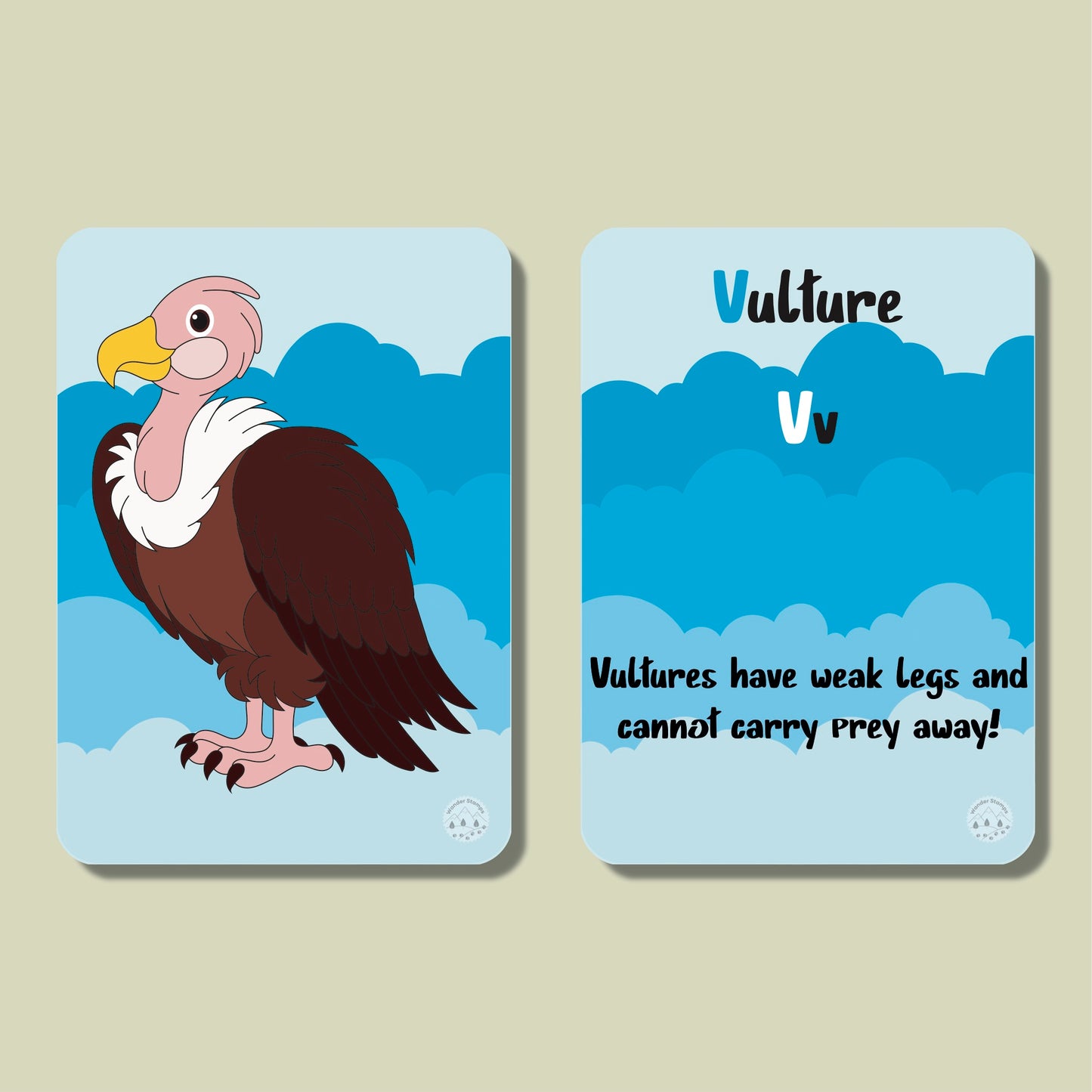 A to Z: Birds of the World Flashcards