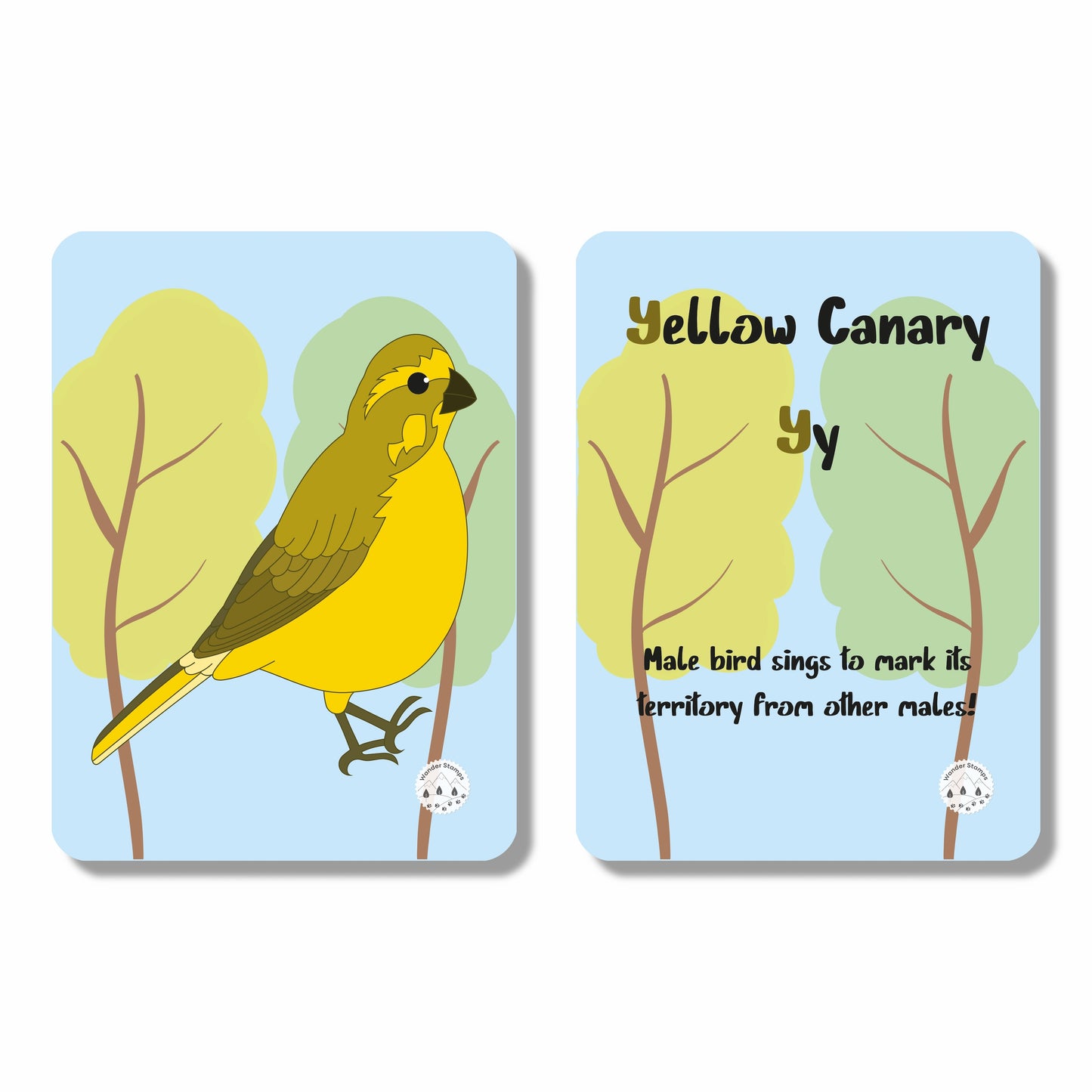 A to Z: Birds of the World Flashcards