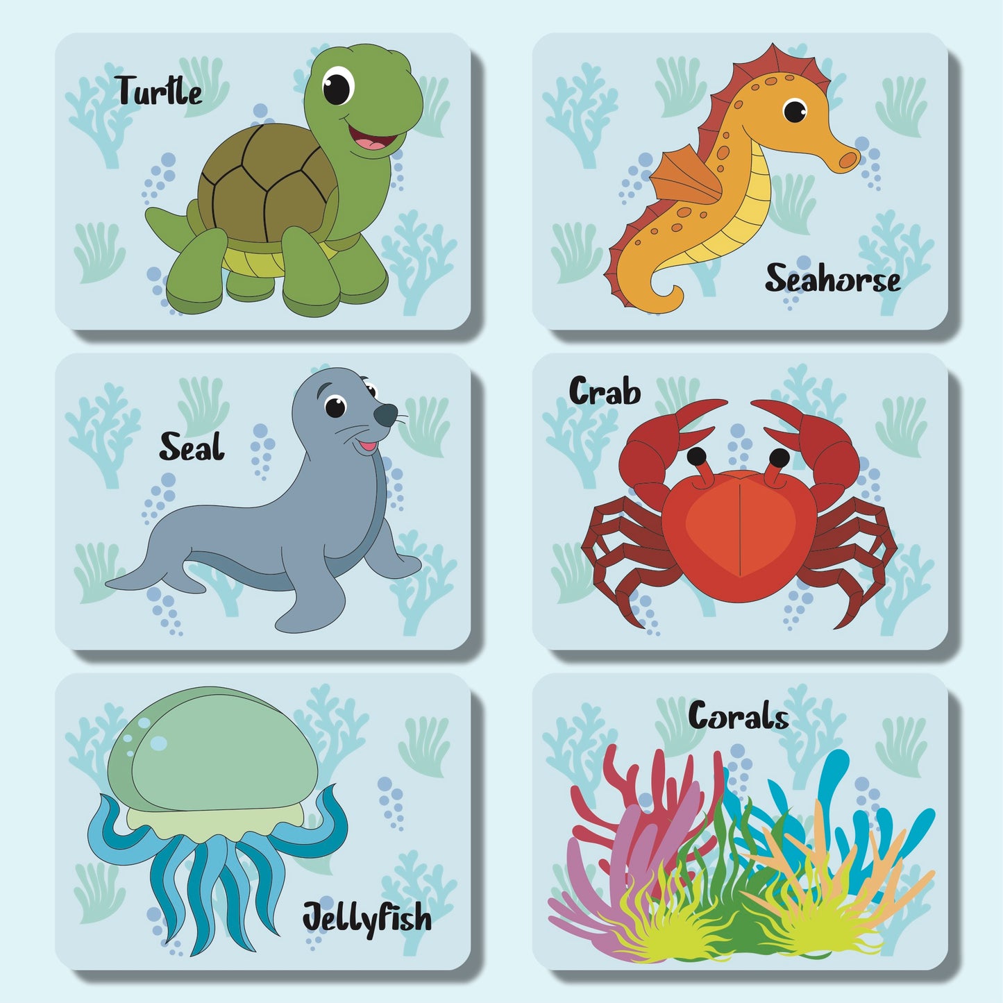 Know Your Marine Life Flashcards