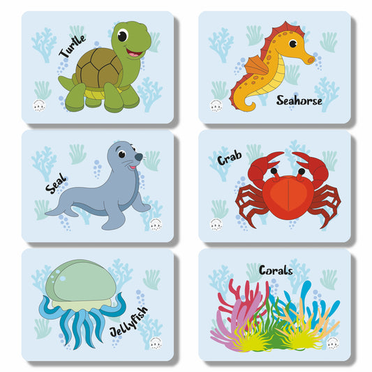 Know Your Marine Life Flashcards